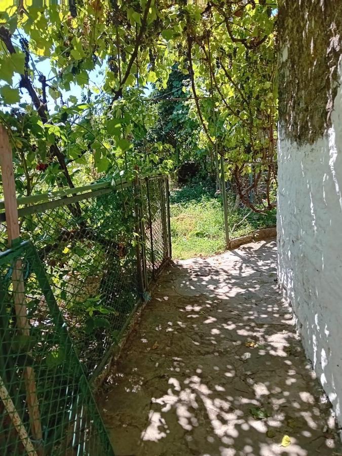 Stone Pazar Guest House Gjirokastër Екстериор снимка